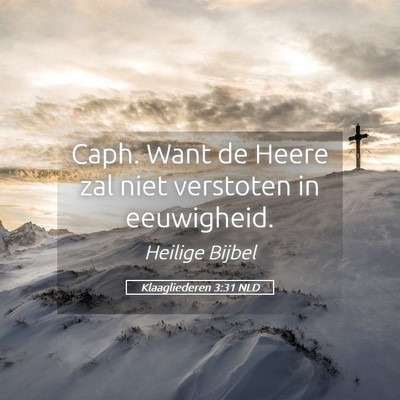 Picture 05 - Klaagliederen 3:31 NLD - Caph. Want de Heere zal niet verstoten in - Bible Verse Picture