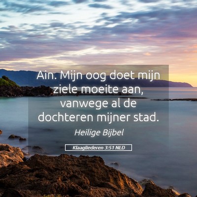 Picture 05 - Klaagliederen 3:51 NLD - Ain. Mijn oog doet mijn ziele moeite aan, vanwege - Bible Verse Picture