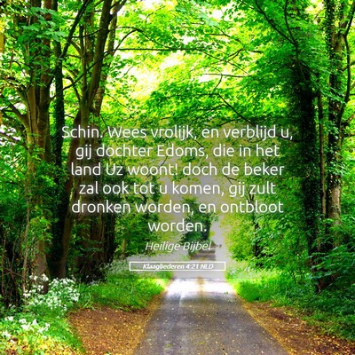 Picture 05 - Klaagliederen 4:21 NLD - Schin. Wees vrolijk, en verblijd u, gij dochter - Bible Verse Picture