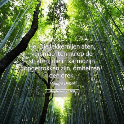 Picture 05 - Klaagliederen 4:5 NLD - He. Die lekkernijen aten, versmachten nu op de - Bible Verse Picture