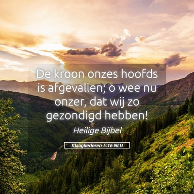 Picture 05 - Klaagliederen 5:16 NLD - De kroon onzes hoofds is afgevallen; o wee nu - Bible Verse Picture
