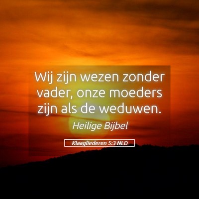 Picture 05 - Klaagliederen 5:3 NLD - Wij zijn wezen zonder vader, onze moeders zijn - Bible Verse Picture