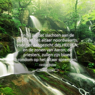 Picture 05 - Leviticus 1:11 NLD - En hij zal dat slachten aan de zijde van het - Bible Verse Picture