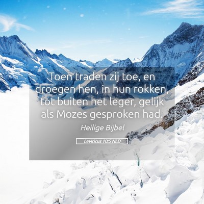 Picture 05 - Leviticus 10:5 NLD - Toen traden zij toe, en droegen hen, in hun - Bible Verse Picture