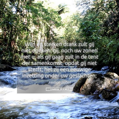 Picture 05 - Leviticus 10:9 NLD - Wijn en sterken drank zult gij niet drinken, gij, - Bible Verse Picture