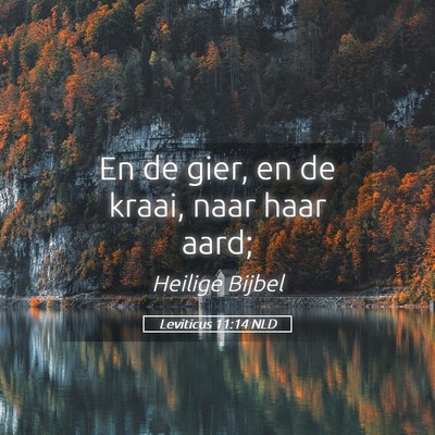 Picture 05 - Leviticus 11:14 NLD - En de gier, en de kraai, naar haar - Bible Verse Picture