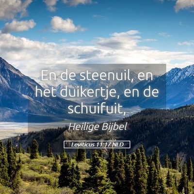 Picture 05 - Leviticus 11:17 NLD - En de steenuil, en het duikertje, en de - Bible Verse Picture