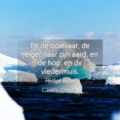 Picture 05 - Leviticus 11:19 NLD - En de ooievaar, de reiger naar zijn aard, en de - Bible Verse Picture