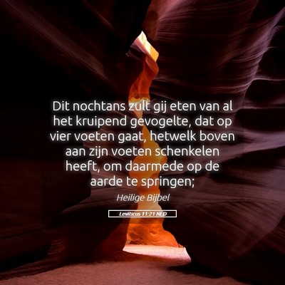 Picture 05 - Leviticus 11:21 NLD - Dit nochtans zult gij eten van al het kruipend - Bible Verse Picture