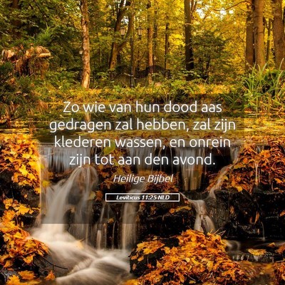 Picture 05 - Leviticus 11:25 NLD - Zo wie van hun dood aas gedragen zal hebben, zal - Bible Verse Picture