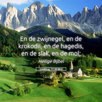 Picture 05 - Leviticus 11:30 NLD - En de zwijnegel, en de krokodil, en de hagedis, - Bible Verse Picture