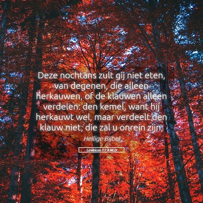 Picture 05 - Leviticus 11:4 NLD - Deze nochtans zult gij niet eten, van degenen, - Bible Verse Picture