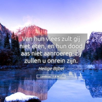 Picture 05 - Leviticus 11:8 NLD - Van hun vlees zult gij niet eten, en hun dood aas - Bible Verse Picture