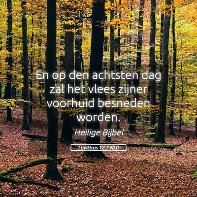 Picture 05 - Leviticus 12:3 NLD - En op den achtsten dag zal het vlees zijner - Bible Verse Picture