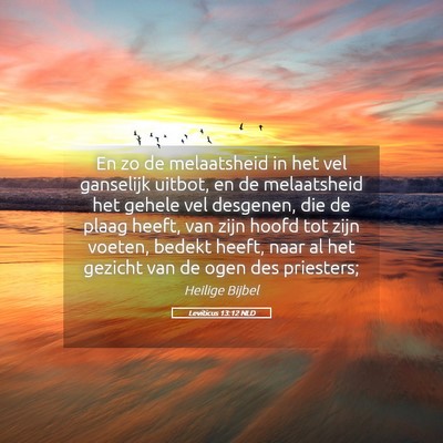 Picture 05 - Leviticus 13:12 NLD - En zo de melaatsheid in het vel ganselijk uitbot, - Bible Verse Picture