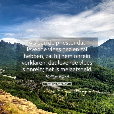Picture 05 - Leviticus 13:15 NLD - Als dan de priester dat levende vlees gezien zal - Bible Verse Picture