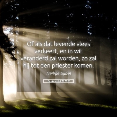 Picture 05 - Leviticus 13:16 NLD - Of als dat levende vlees verkeert, en in wit - Bible Verse Picture