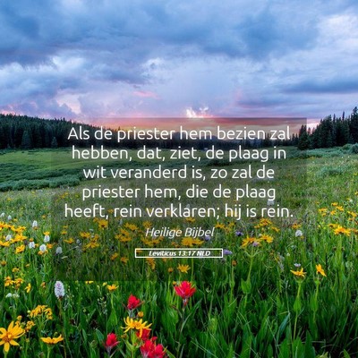Picture 05 - Leviticus 13:17 NLD - Als de priester hem bezien zal hebben, dat, ziet, - Bible Verse Picture