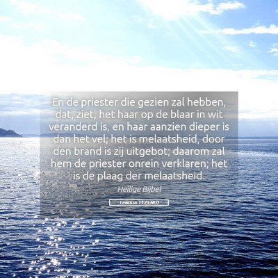 Picture 05 - Leviticus 13:25 NLD - En de priester die gezien zal hebben, dat, ziet, - Bible Verse Picture