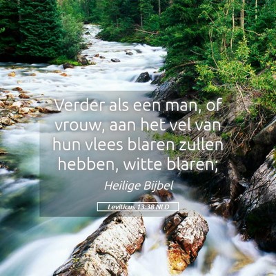 Picture 05 - Leviticus 13:38 NLD - Verder als een man, of vrouw, aan het vel van hun - Bible Verse Picture