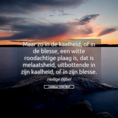 Picture 05 - Leviticus 13:42 NLD - Maar zo in de kaalheid, of in de blesse, een - Bible Verse Picture
