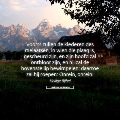 Picture 05 - Leviticus 13:45 NLD - Voorts zullen de klederen des melaatsen, in wien - Bible Verse Picture