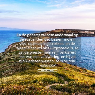 Picture 05 - Leviticus 13:6 NLD - En de priester zal hem andermaal op den zevenden - Bible Verse Picture
