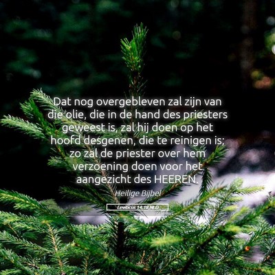 Picture 05 - Leviticus 14:18 NLD - Dat nog overgebleven zal zijn van die olie, die - Bible Verse Picture