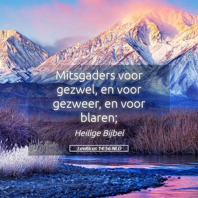 Picture 05 - Leviticus 14:56 NLD - Mitsgaders voor gezwel, en voor gezweer, en voor - Bible Verse Picture