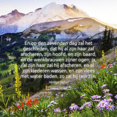 Picture 05 - Leviticus 14:9 NLD - En op den zevenden dag zal het geschieden, dat - Bible Verse Picture