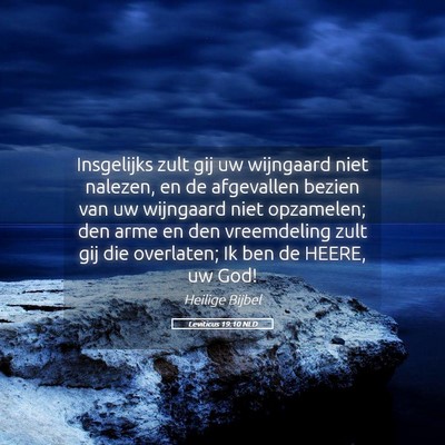 Picture 05 - Leviticus 19:10 NLD - Insgelijks zult gij uw wijngaard niet nalezen, en - Bible Verse Picture