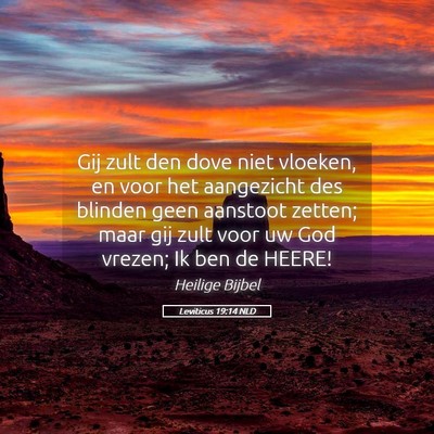 Picture 05 - Leviticus 19:14 NLD - Gij zult den dove niet vloeken, en voor het - Bible Verse Picture