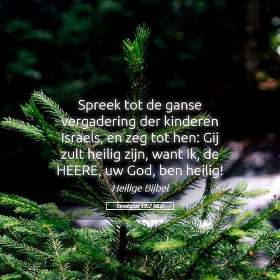 Picture 05 - Leviticus 19:2 NLD - Spreek tot de ganse vergadering der kinderen - Bible Verse Picture