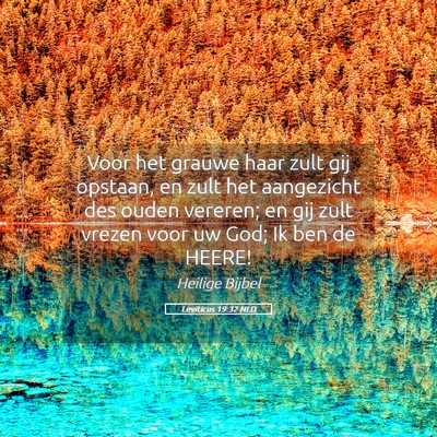 Picture 05 - Leviticus 19:32 NLD - Voor het grauwe haar zult gij opstaan, en zult - Bible Verse Picture