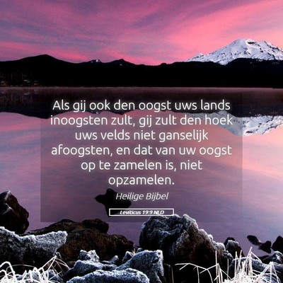 Picture 05 - Leviticus 19:9 NLD - Als gij ook den oogst uws lands inoogsten zult, - Bible Verse Picture