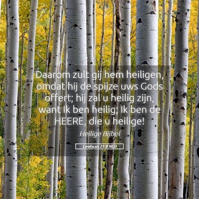Picture 05 - Leviticus 21:8 NLD - Daarom zult gij hem heiligen, omdat hij de spijze - Bible Verse Picture