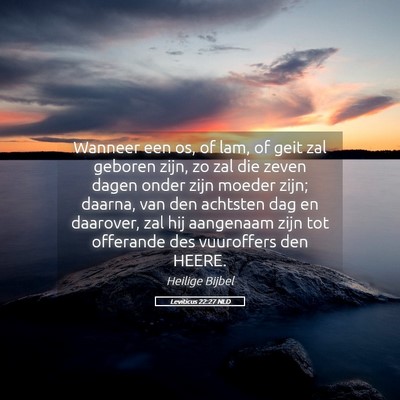 Picture 05 - Leviticus 22:27 NLD - Wanneer een os, of lam, of geit zal geboren zijn, - Bible Verse Picture