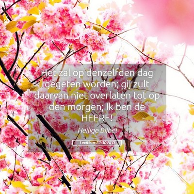 Picture 05 - Leviticus 22:30 NLD - Het zal op denzelfden dag gegeten worden; gij - Bible Verse Picture
