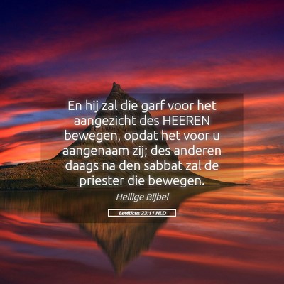 Picture 05 - Leviticus 23:11 NLD - En hij zal die garf voor het aangezicht des - Bible Verse Picture