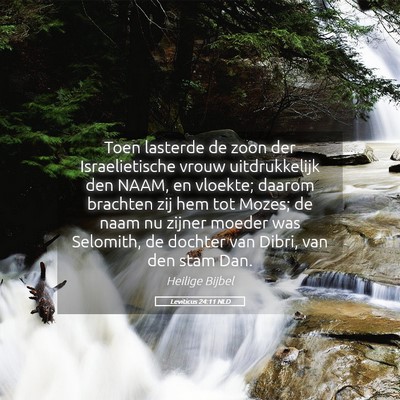 Picture 05 - Leviticus 24:11 NLD - Toen lasterde de zoon der Israelietische vrouw - Bible Verse Picture