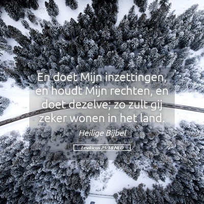 Picture 05 - Leviticus 25:18 NLD - En doet Mijn inzettingen, en houdt Mijn rechten, - Bible Verse Picture