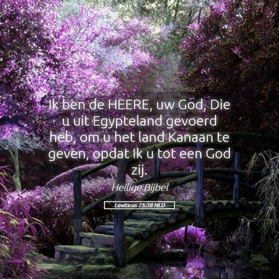 Picture 05 - Leviticus 25:38 NLD - Ik ben de HEERE, uw God, Die u uit Egypteland - Bible Verse Picture