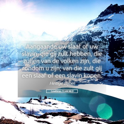 Picture 05 - Leviticus 25:44 NLD - Aangaande uw slaaf of uw slavin, die gij zult - Bible Verse Picture