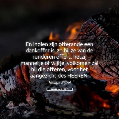 Picture 05 - Leviticus 3:1 NLD - En indien zijn offerande een dankoffer is; zo hij - Bible Verse Picture