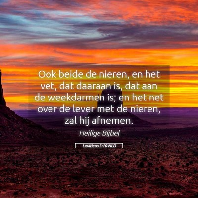 Picture 05 - Leviticus 3:10 NLD - Ook beide de nieren, en het vet, dat daaraan is, - Bible Verse Picture