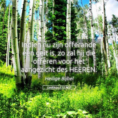Picture 05 - Leviticus 3:12 NLD - Indien nu zijn offerande een geit is, zo zal hij - Bible Verse Picture