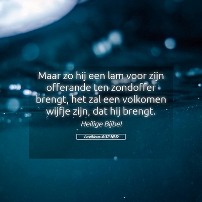 Picture 05 - Leviticus 4:32 NLD - Maar zo hij een lam voor zijn offerande ten - Bible Verse Picture