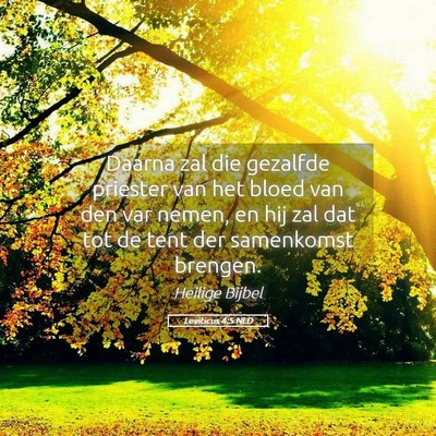 Picture 05 - Leviticus 4:5 NLD - Daarna zal die gezalfde priester van het bloed - Bible Verse Picture