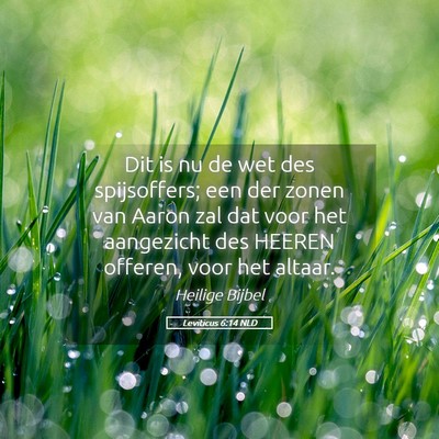 Picture 05 - Leviticus 6:14 NLD - Dit is nu de wet des spijsoffers; een der zonen - Bible Verse Picture
