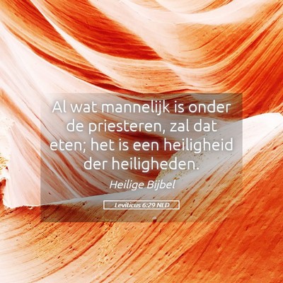 Picture 05 - Leviticus 6:29 NLD - Al wat mannelijk is onder de priesteren, zal dat - Bible Verse Picture